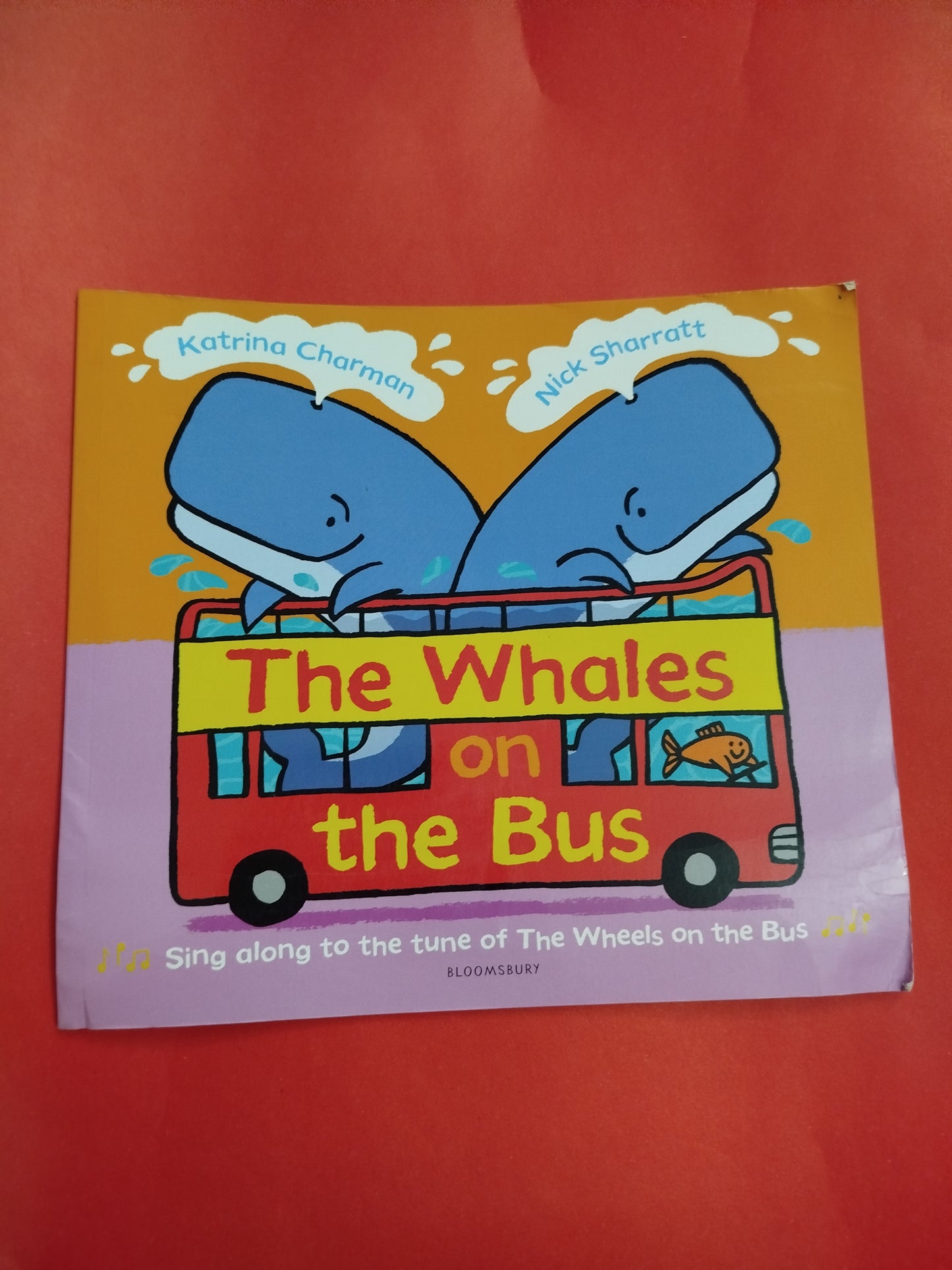 The whales on the Bus