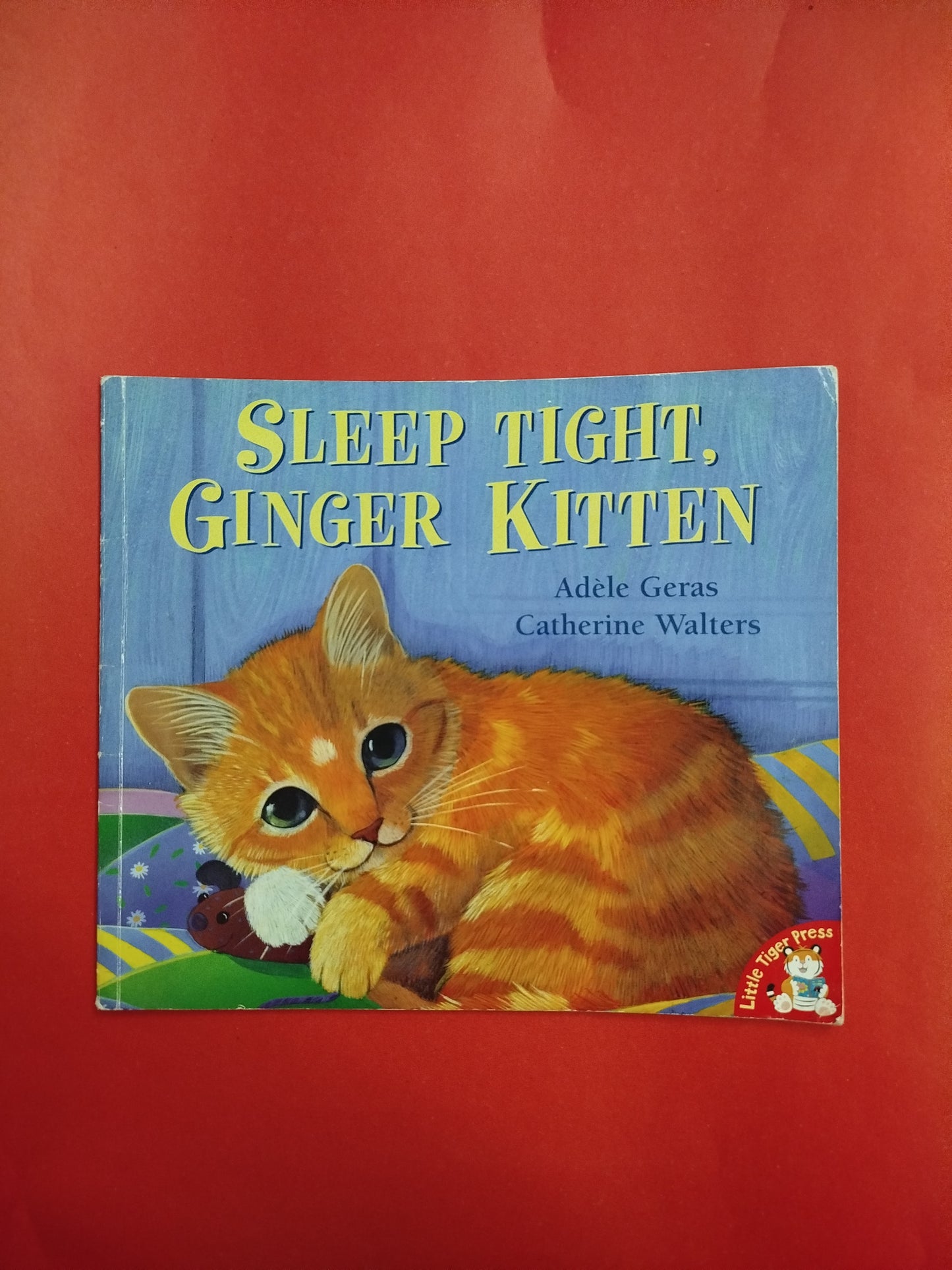 Sleep Tight ginger kitten