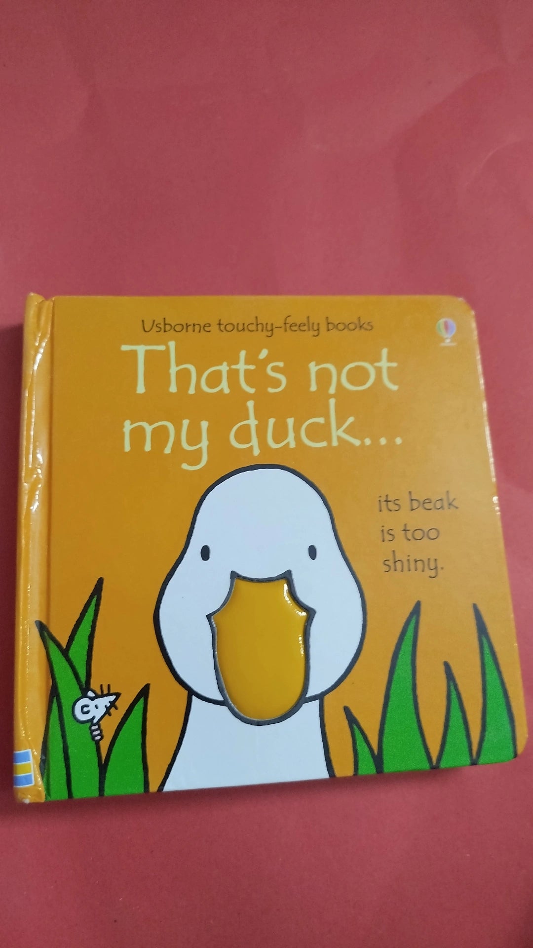 That's not my duck