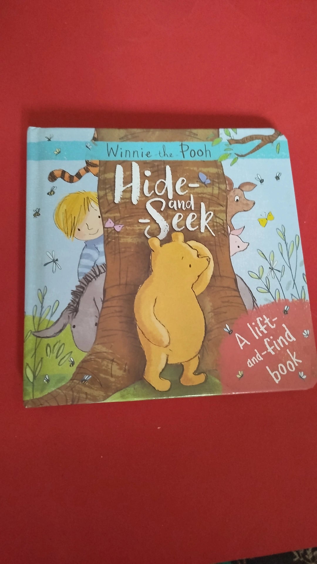 Winnie the Pooh Hide and Seek