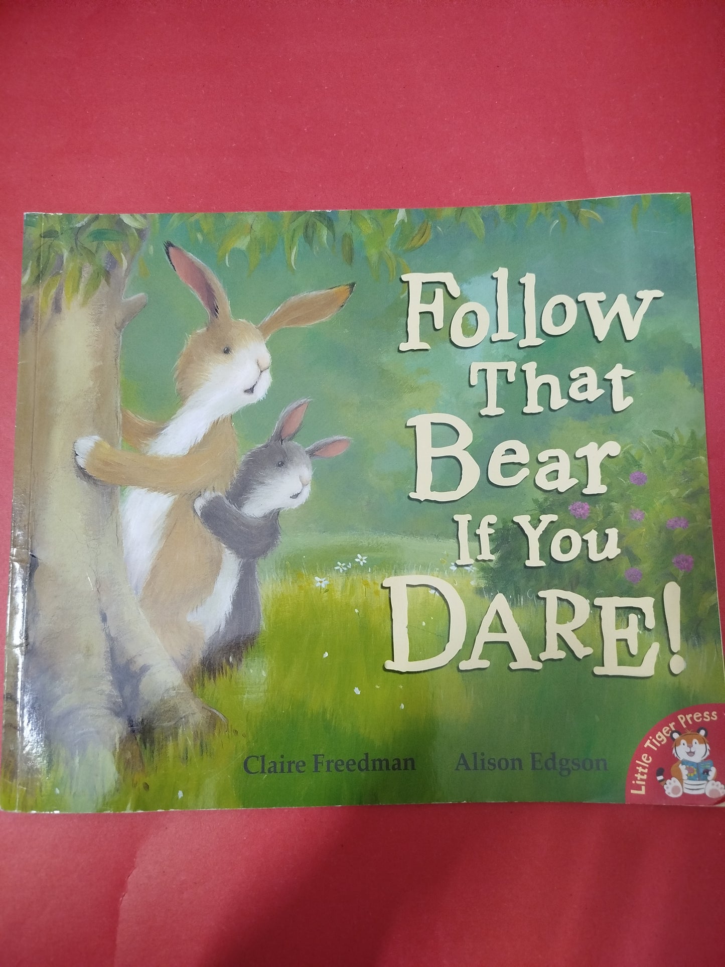 Follow that Bear if you Dare