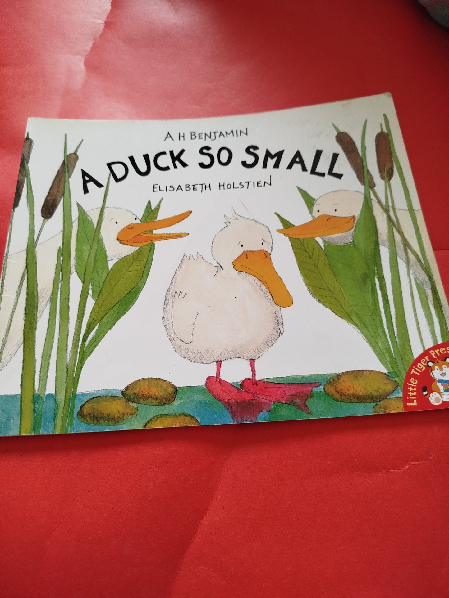 A duck so small