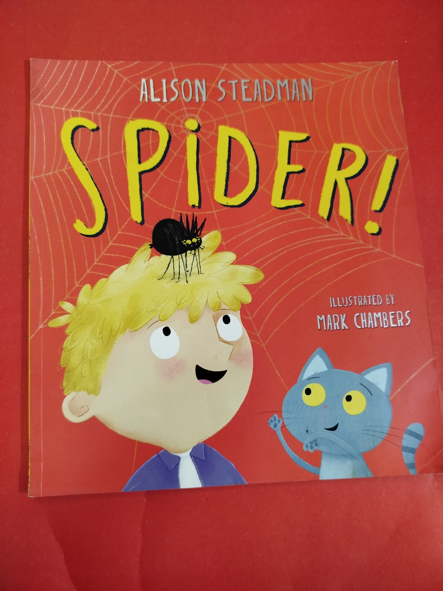 Spider