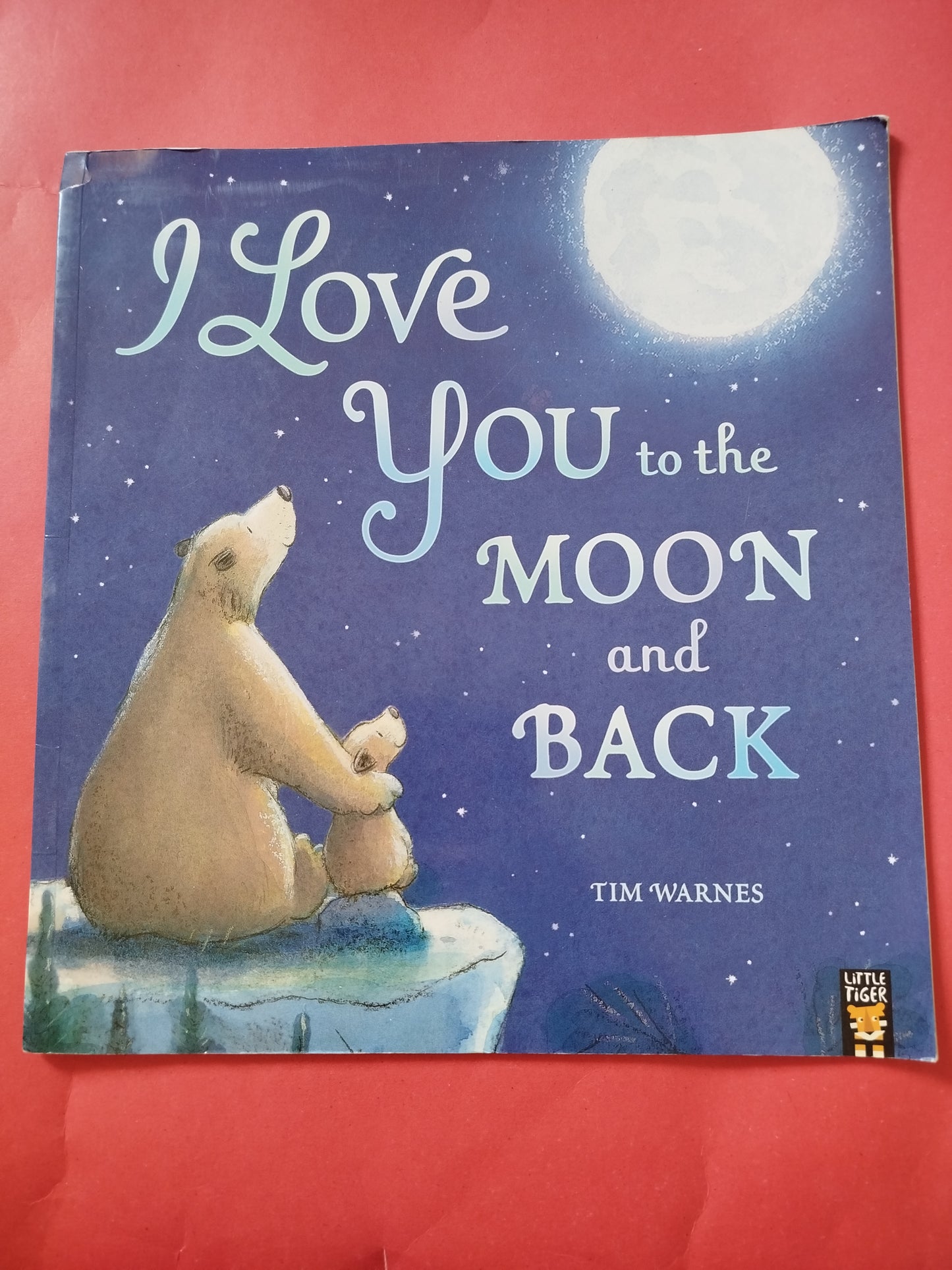 I Love You to the MOON and BACK