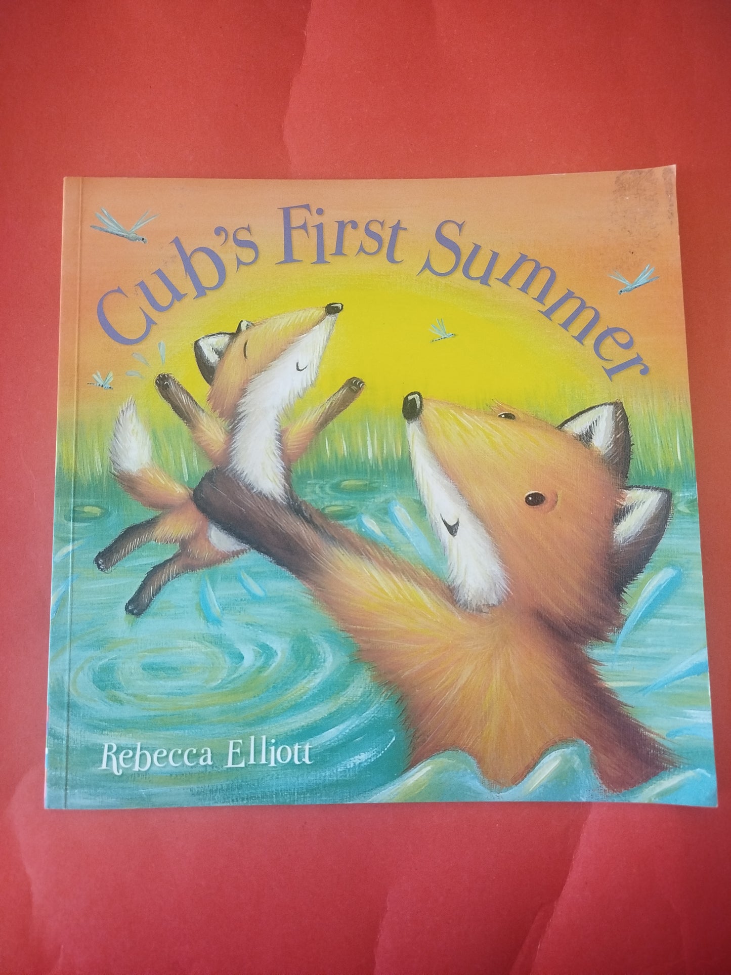 Cub's First Summer