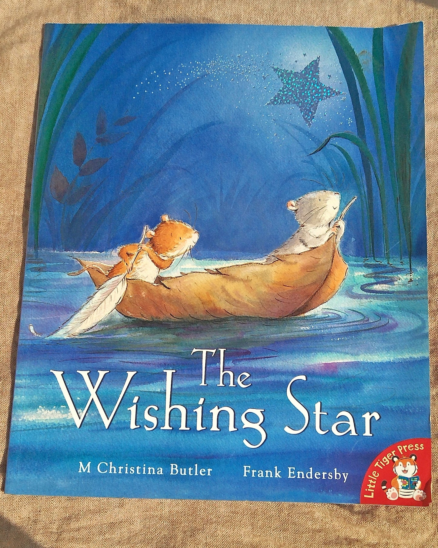 The Wishing Star