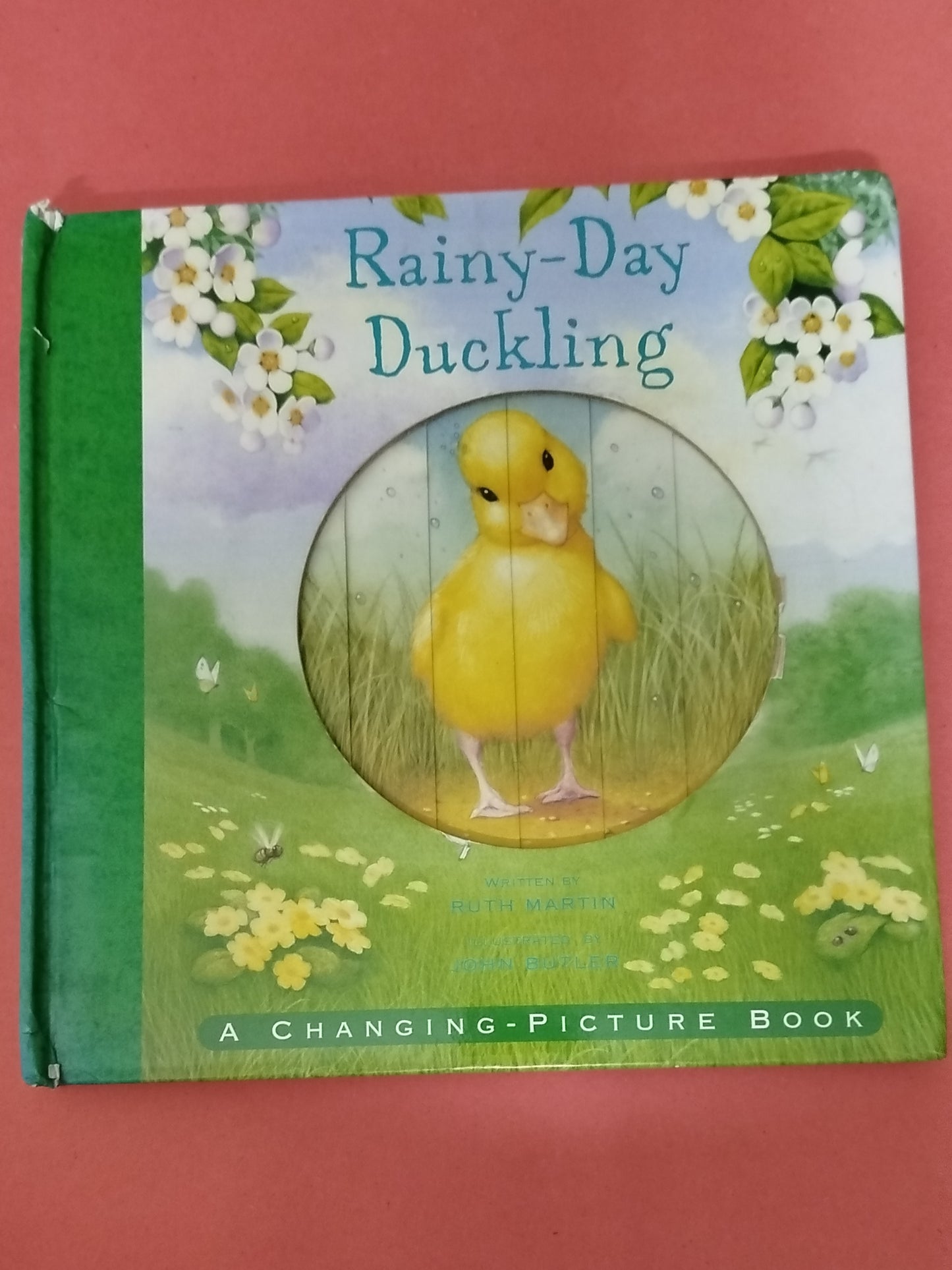 Rainy Day Duckling - CHANGING-PICTURE A BOOK