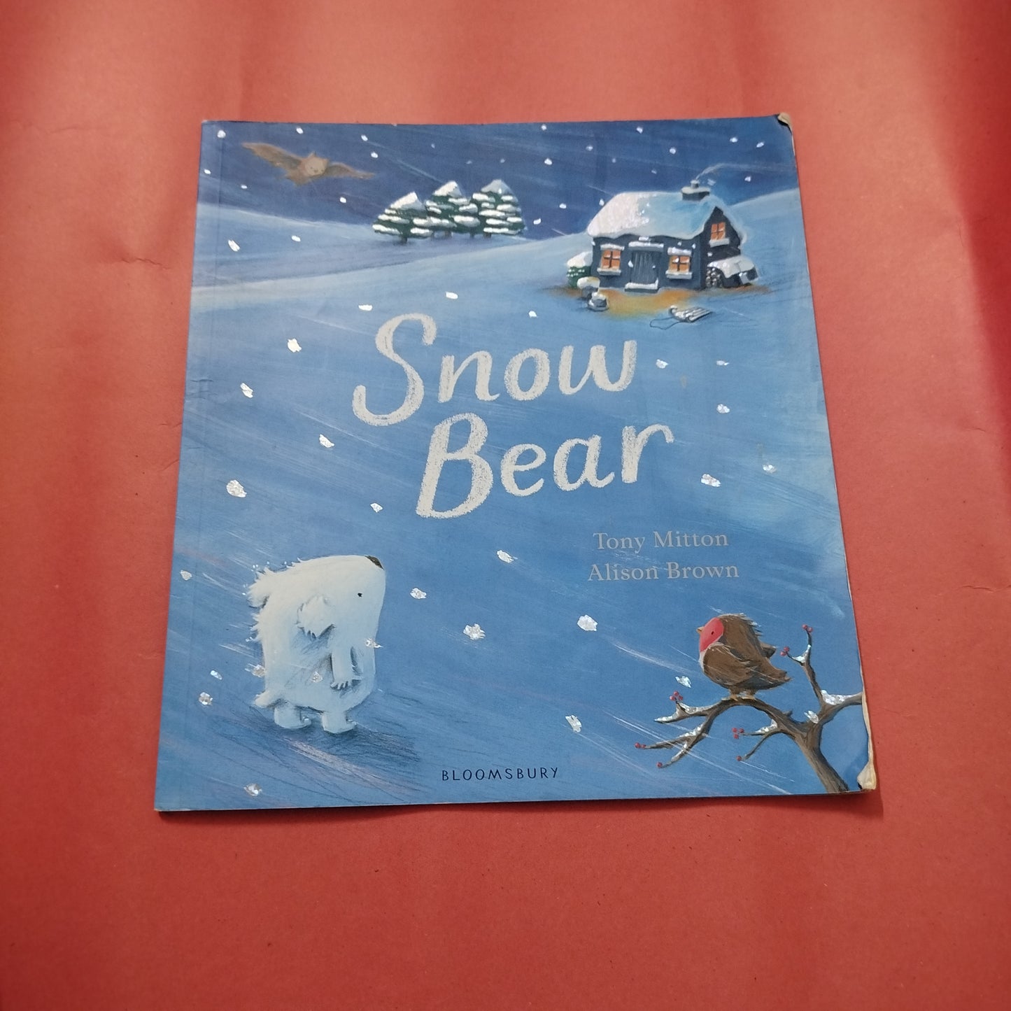 Snow Bear