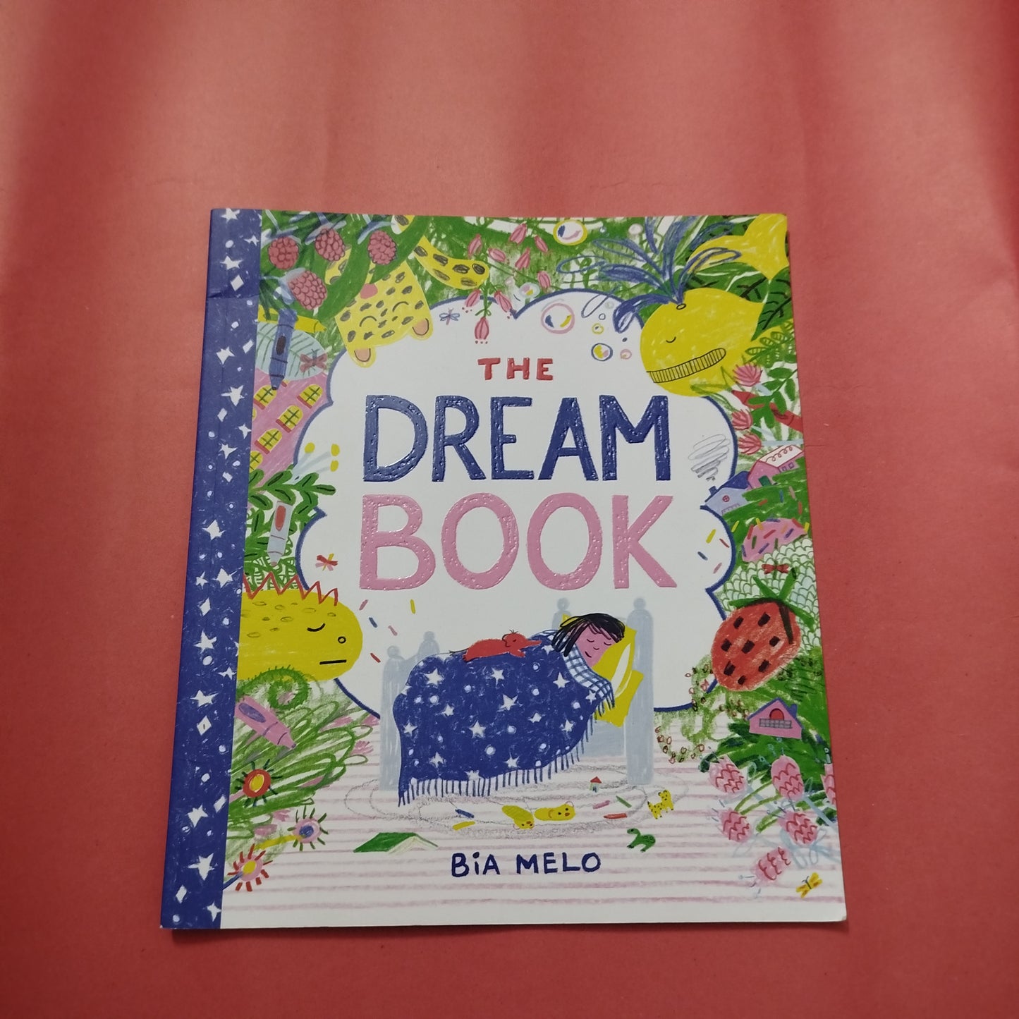 THE DREAM BOOK