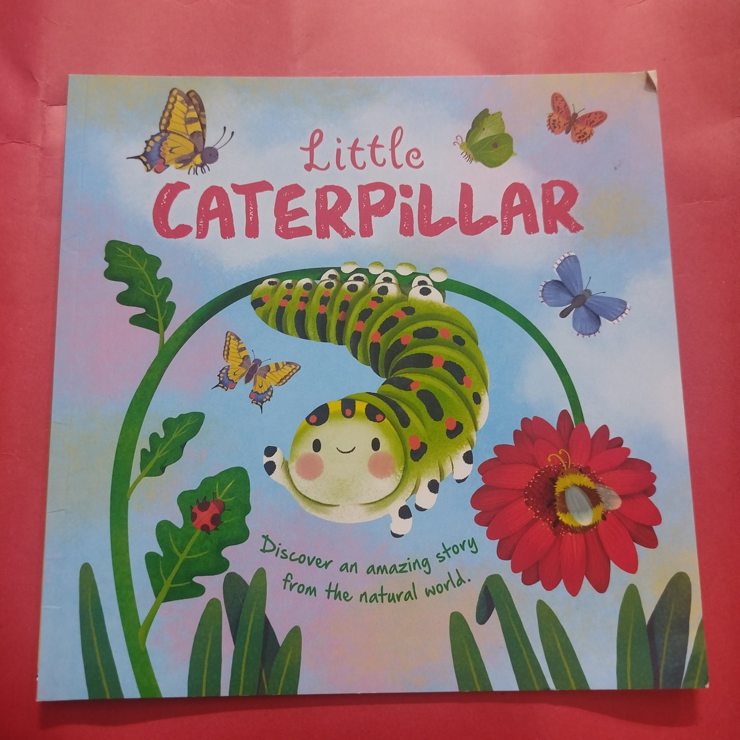 Little CATERPiLLAR