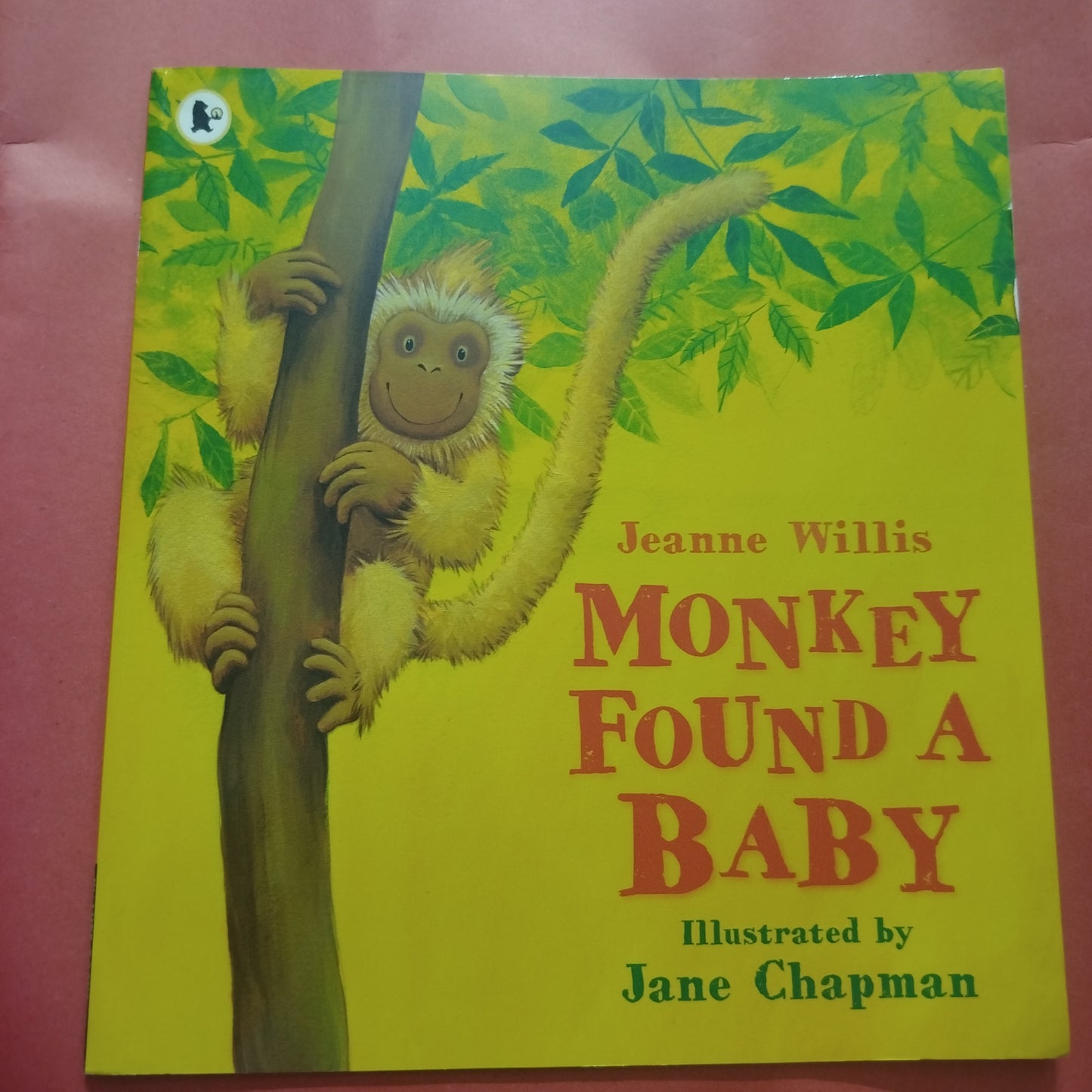 MONKEY FOUND A BABY