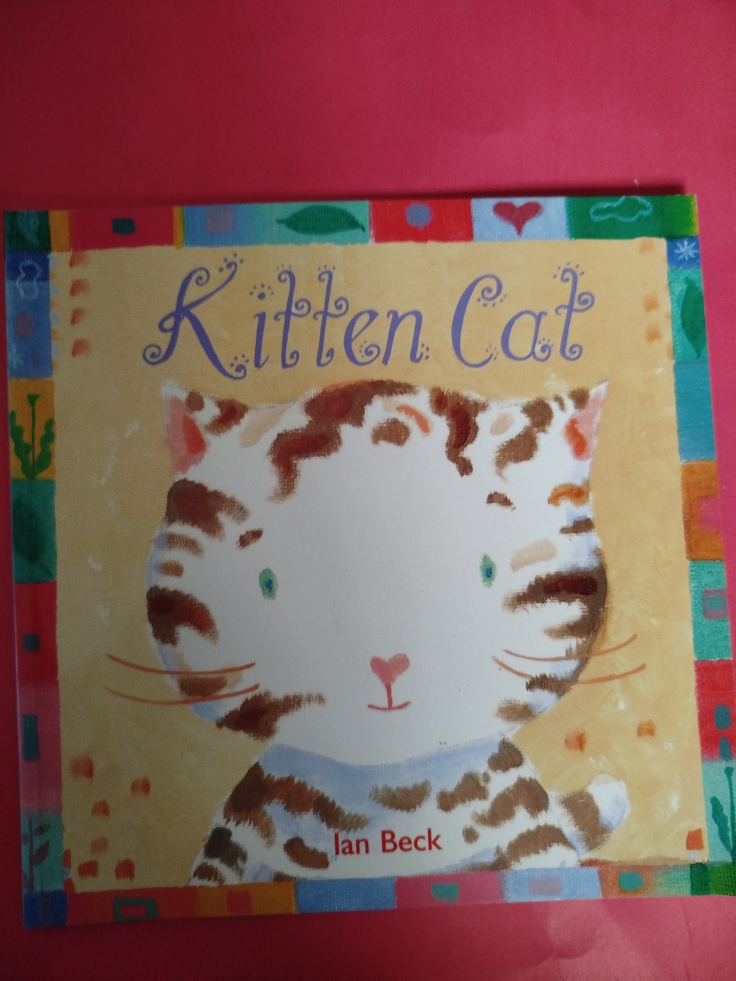 Kitten Cat