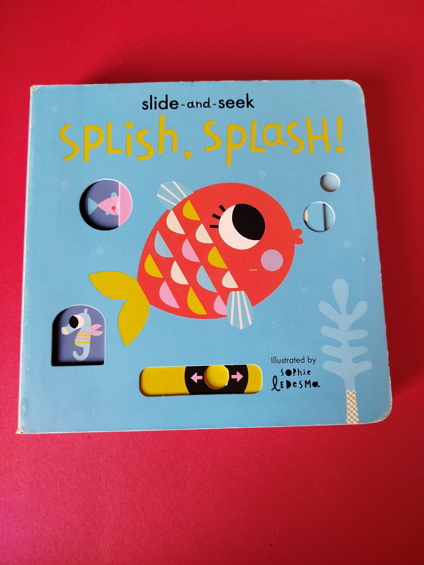 Splish, Splash!: Slide-and-Seek