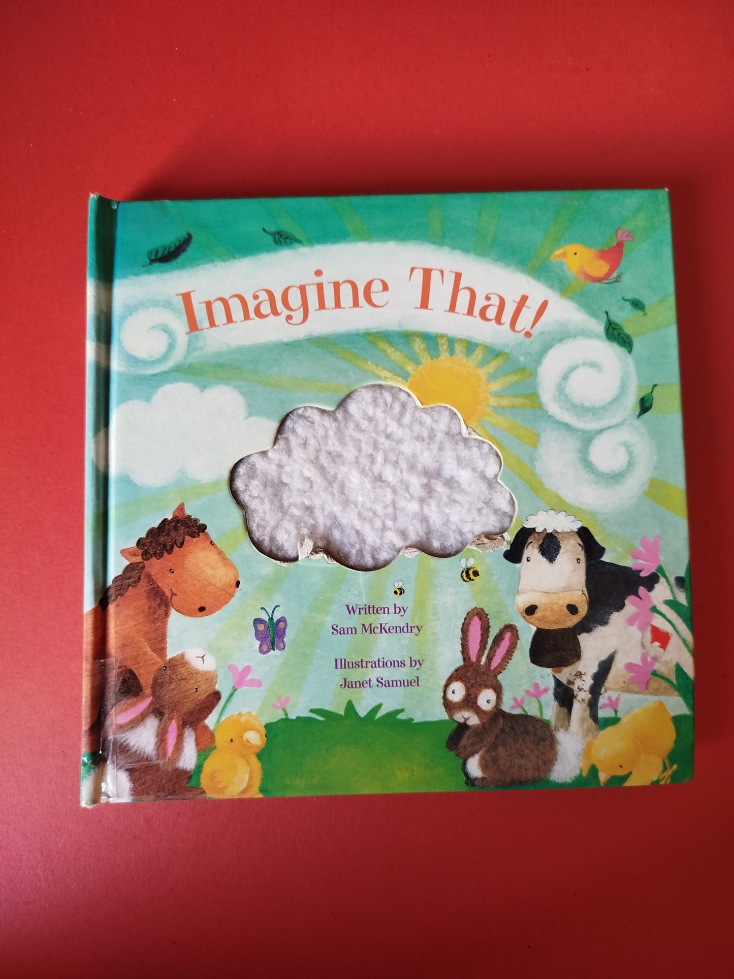 Imagine That!: A Touch And Feel Book