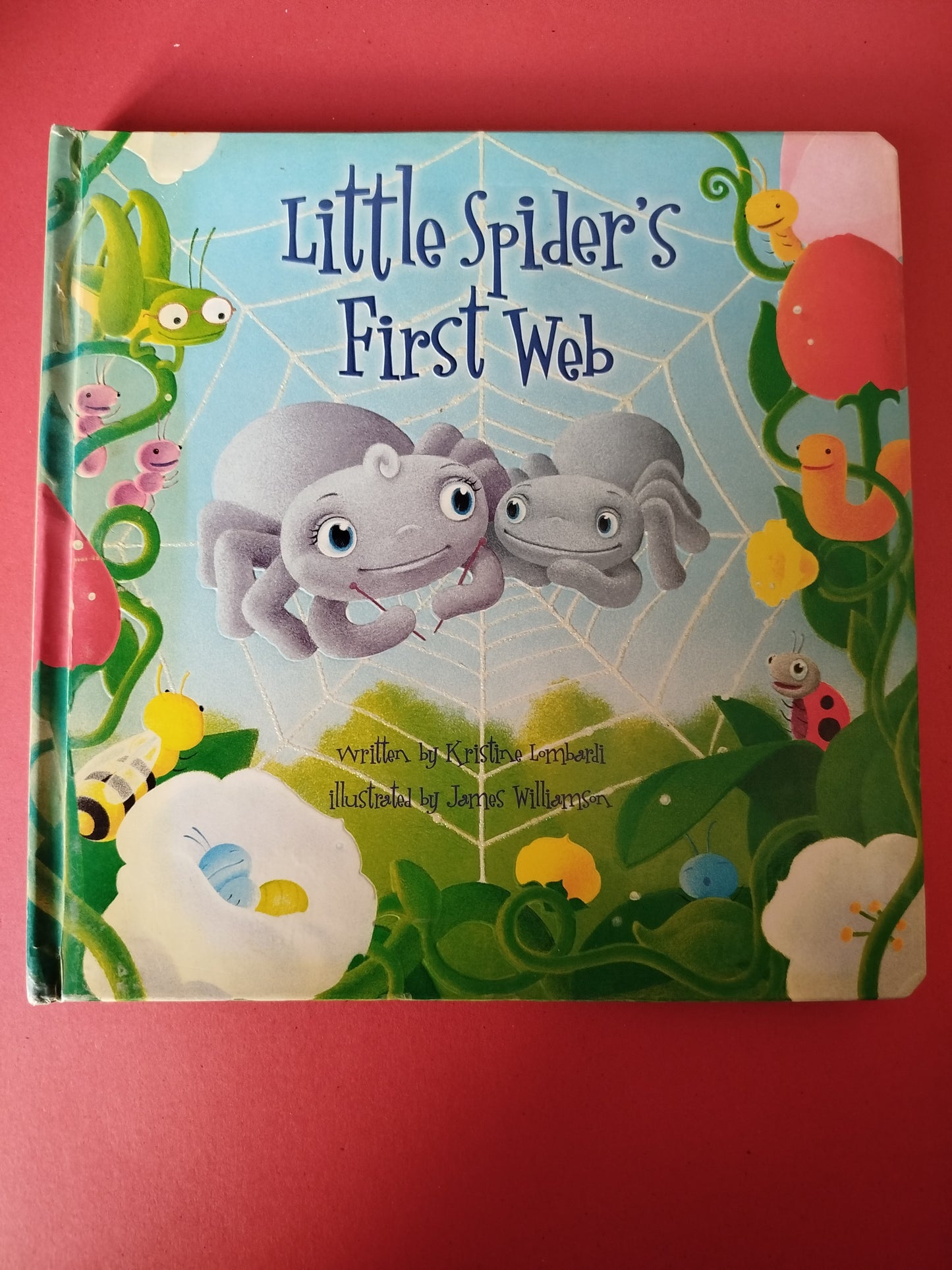 Little Spider's First Web