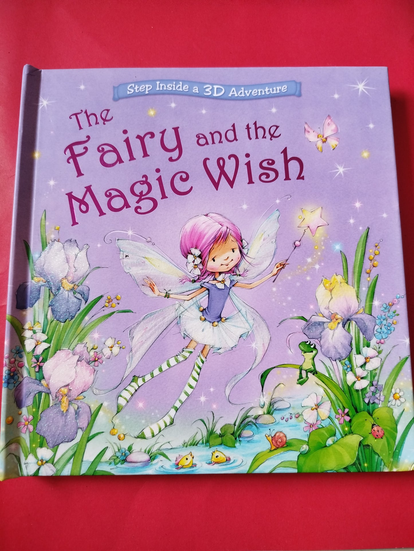 The Fairy and the Magic Wish