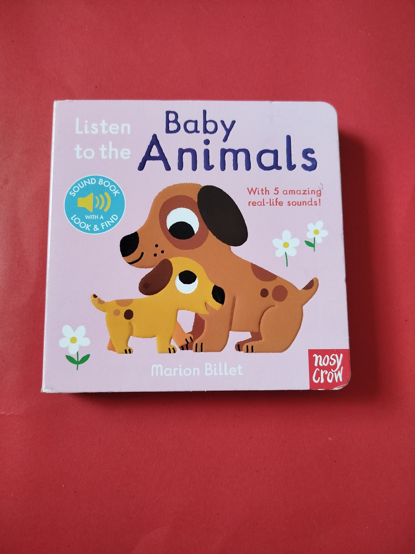 Baby Animals
