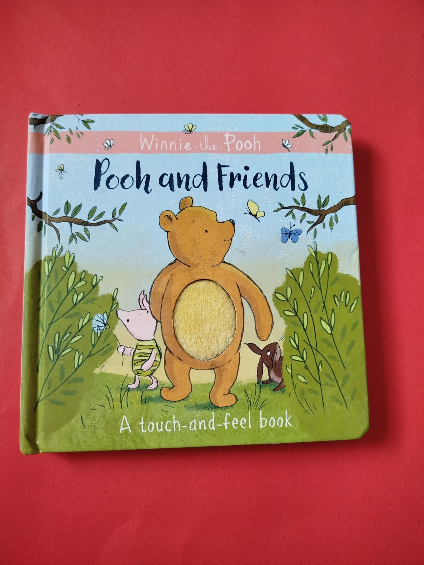Winnie-the-Pooh: Pooh and Friends a Touch-and-Feel Book