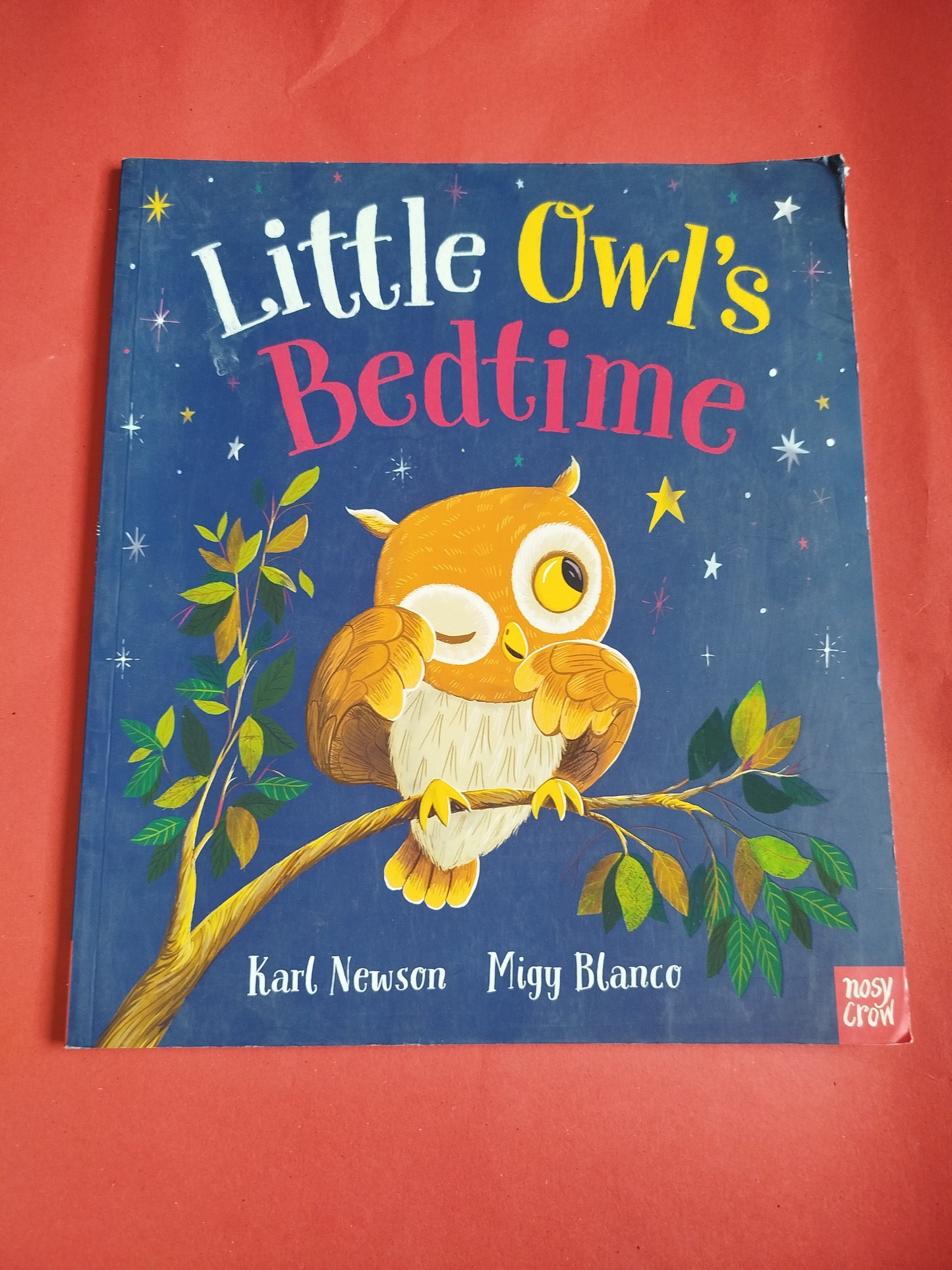 Little owl's bedtime