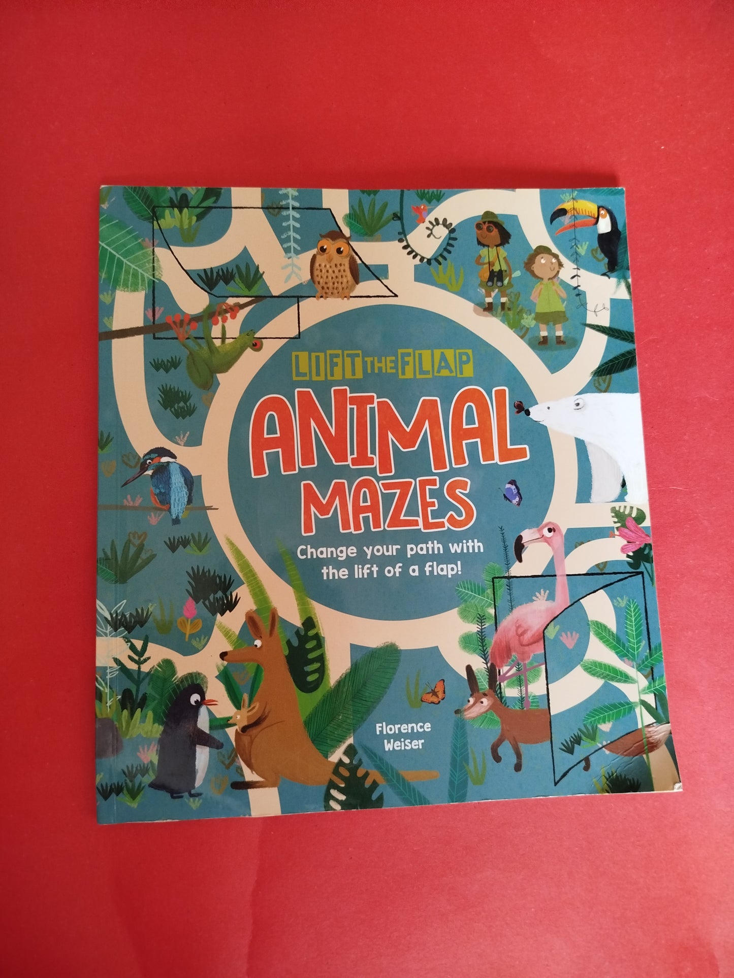 Lift the Flap Animal Mazes