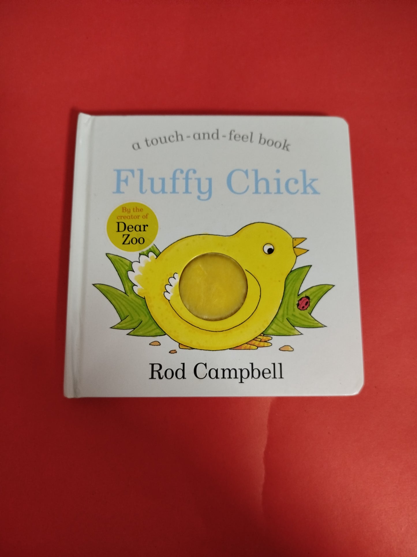 Fluffy Chick (Touch and Feel Book)