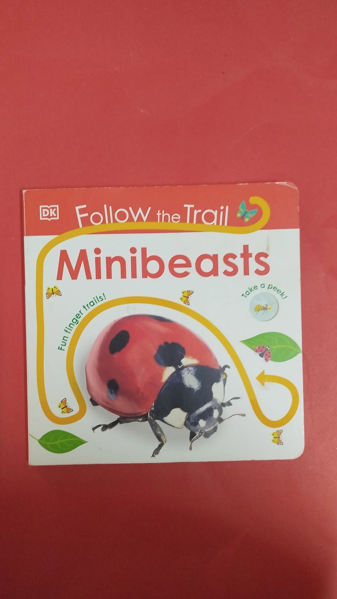 Follow the trail Minibeasts