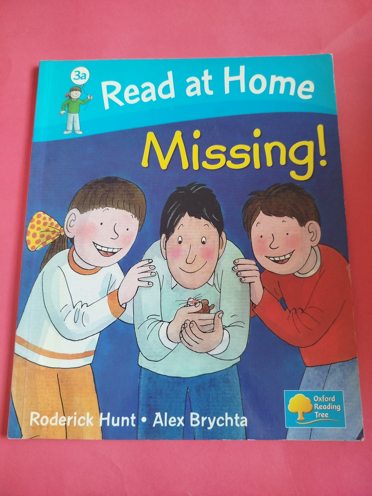 Read at Home: More Level 3a: Missing