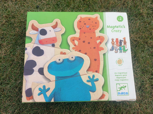 Djeco Magnetics Crazy