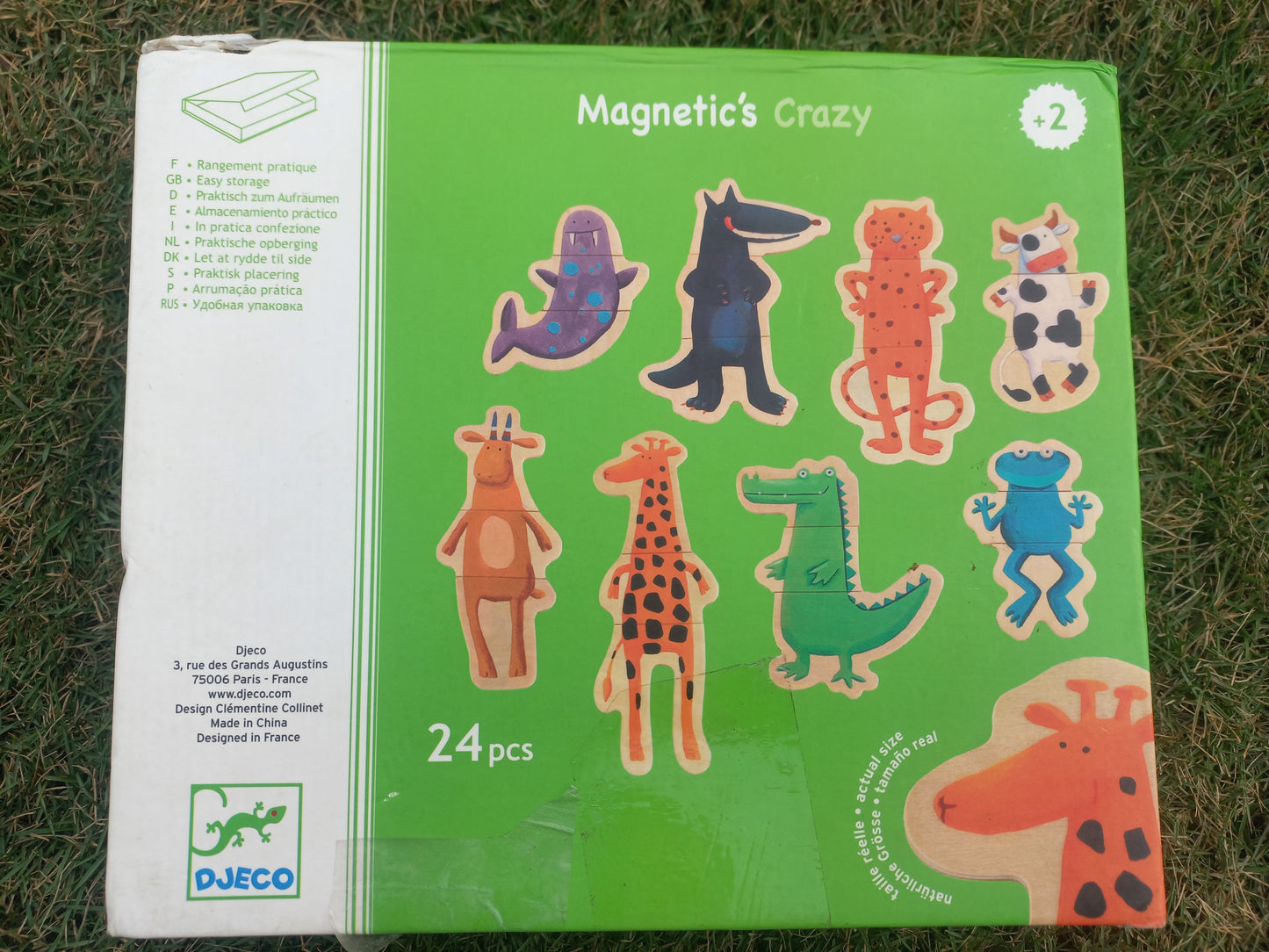 Djeco Magnetics Crazy