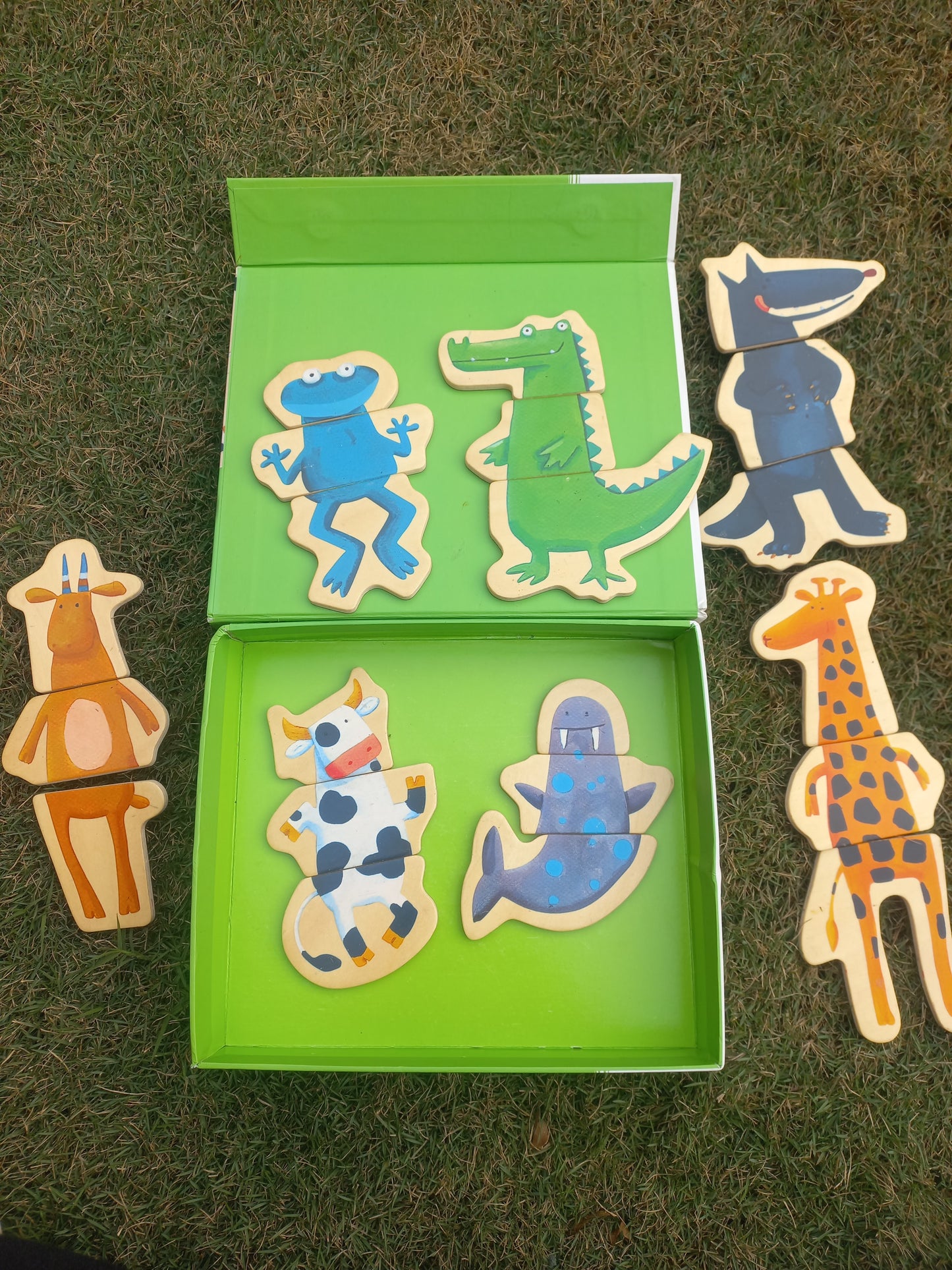 Djeco Magnetics Crazy