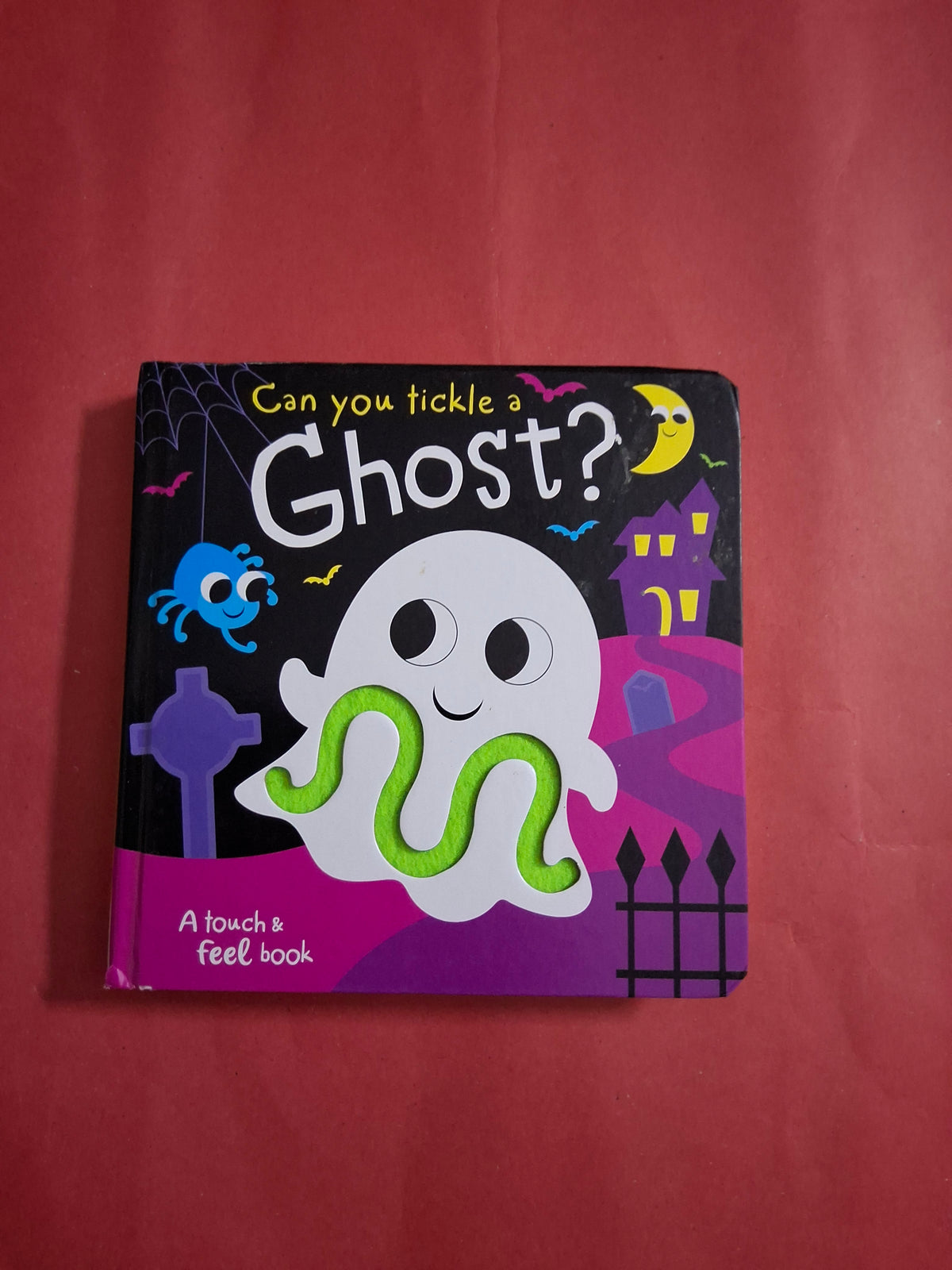 Can you tickle Ghost? A touch & feel book