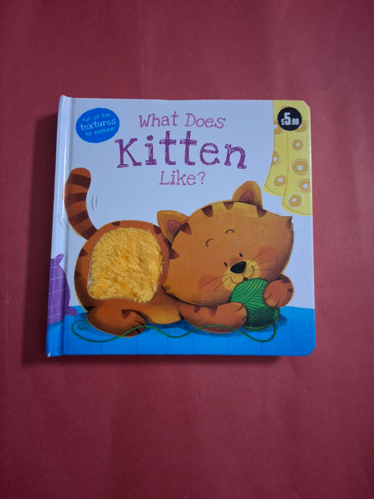 What Does Kitten Like? Touch and feel book