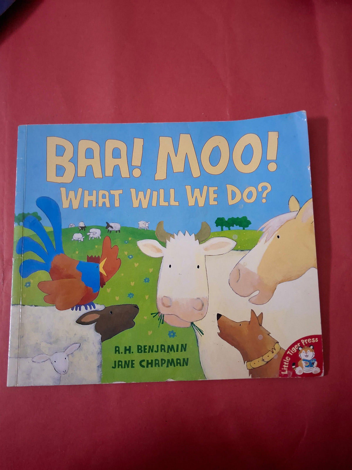 BAA! MOO!
WHRT WILL WE DO?