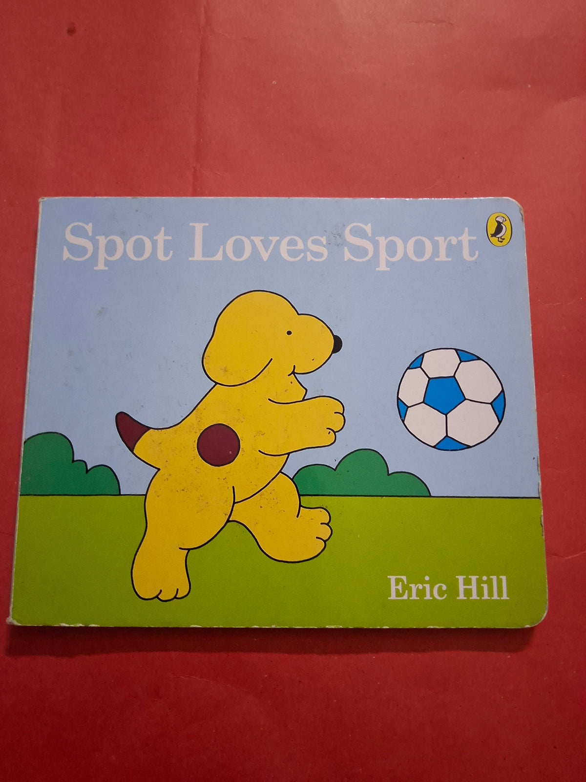 Spot Loves Sport