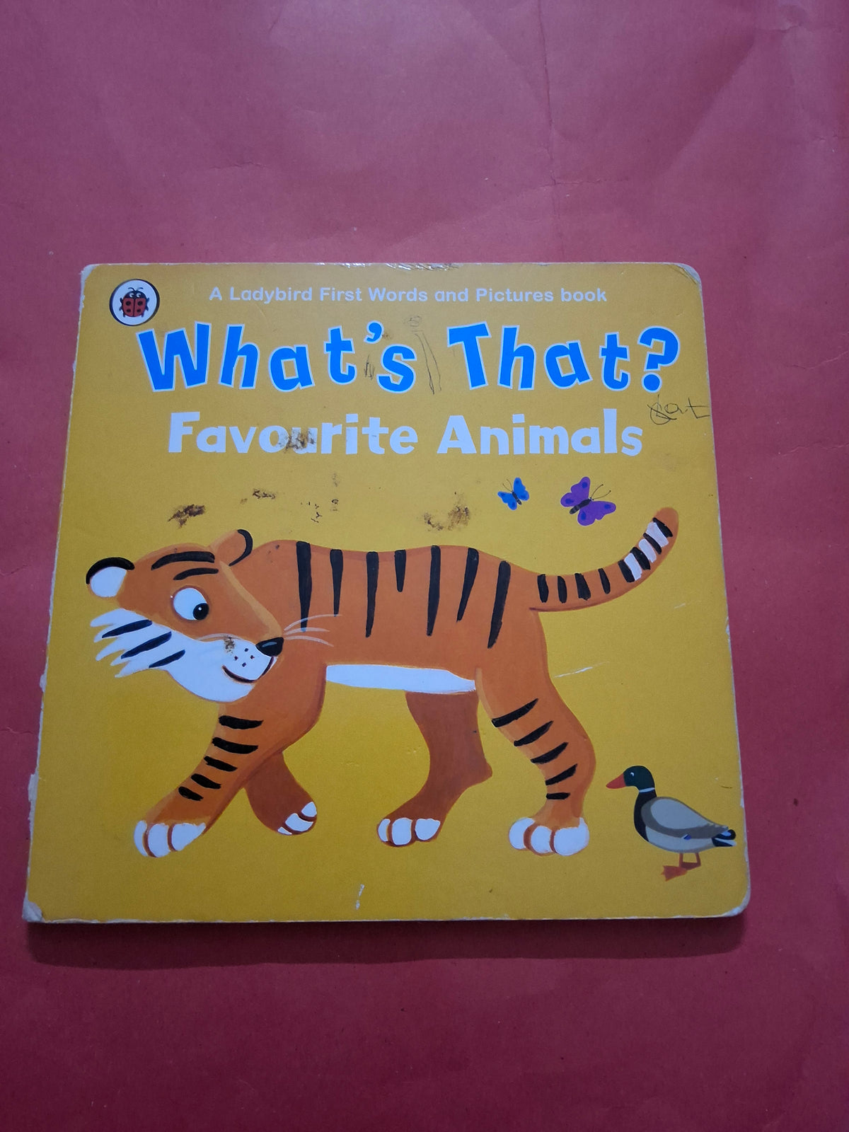 What's That? Favorite Animals