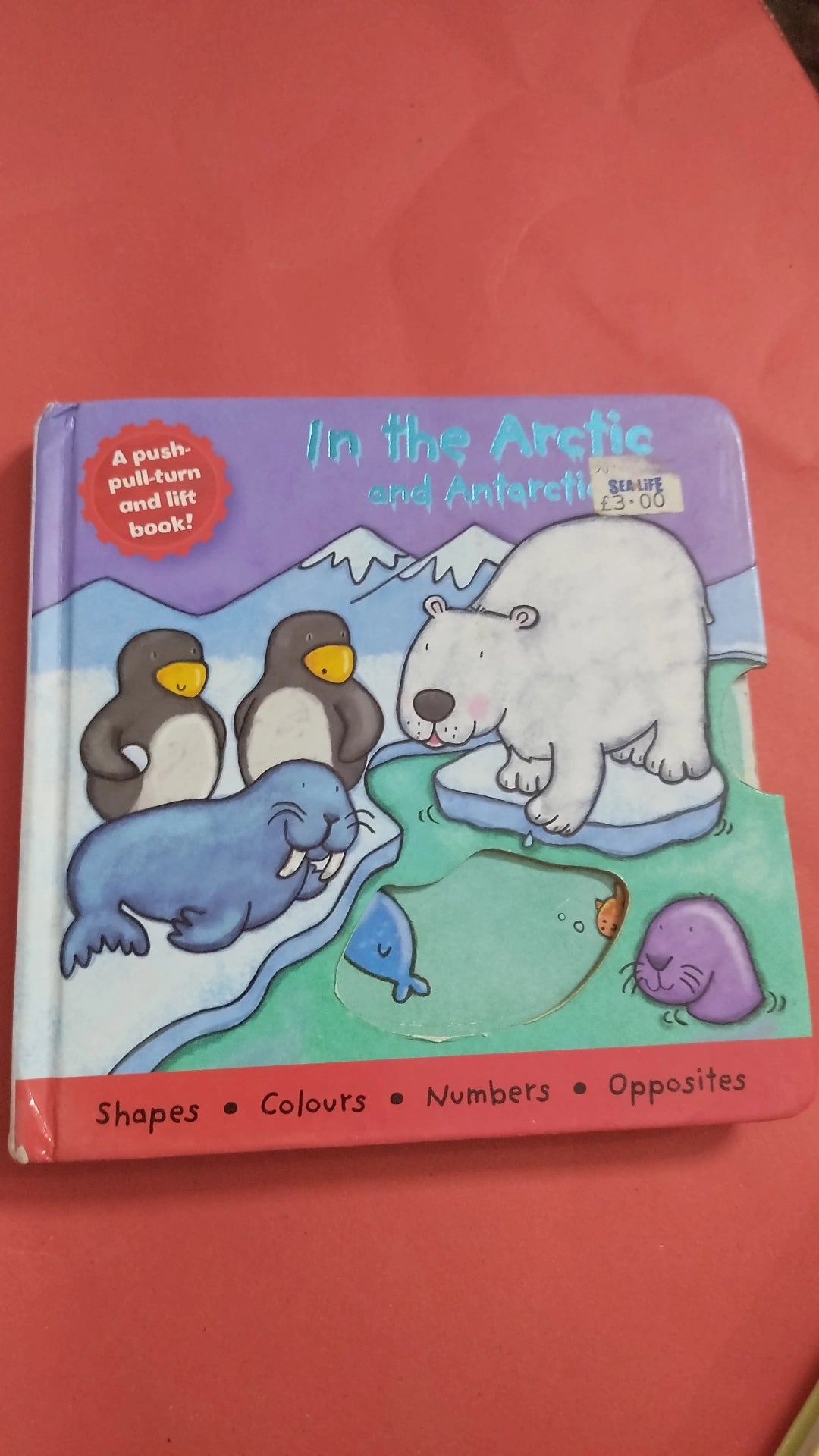 In the artic and Antarctica