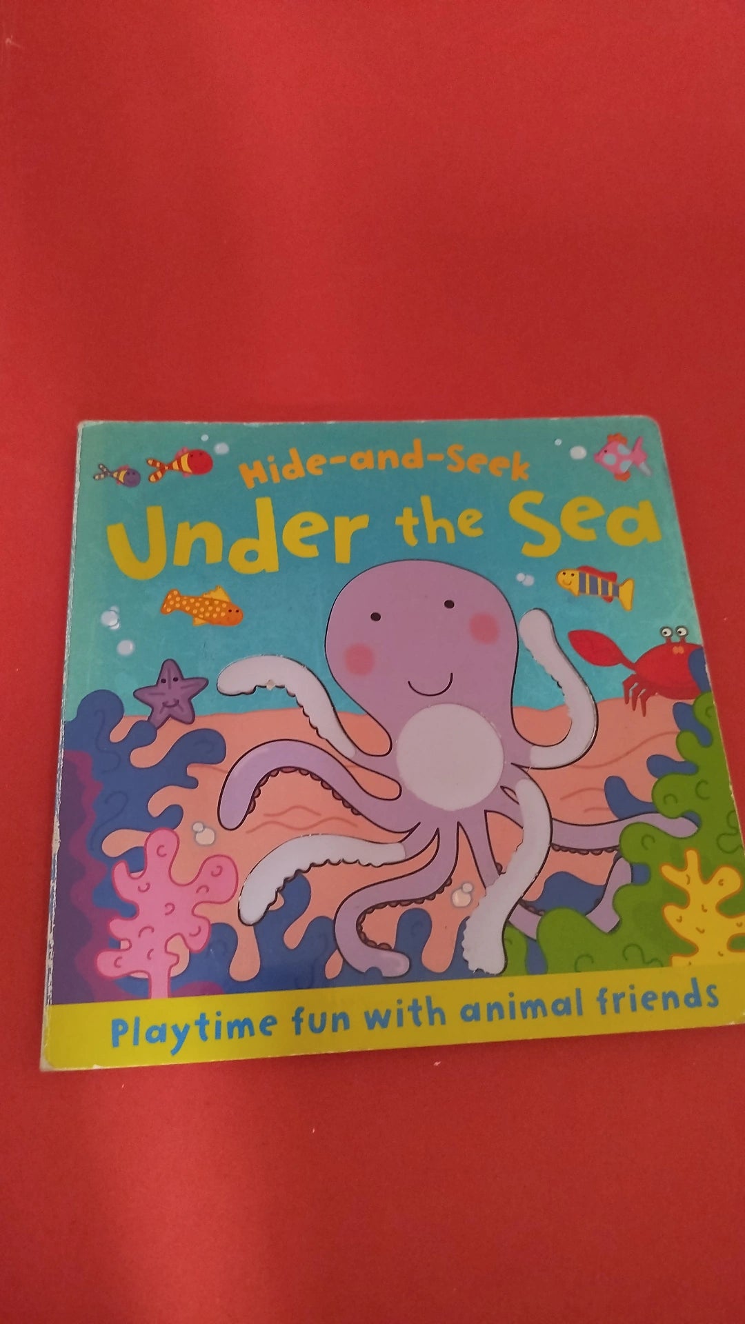 Hide and Seek Under the Sea