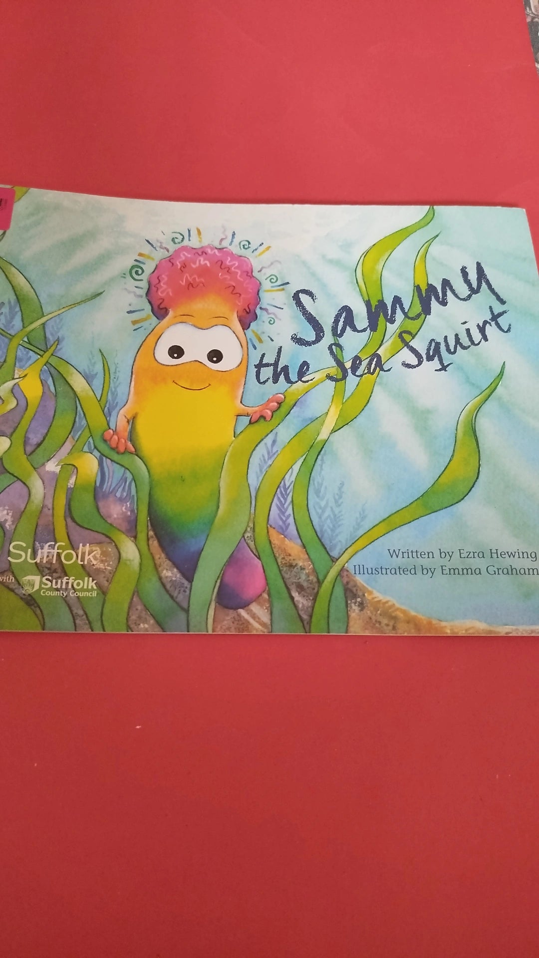 Sammy the sea squirt