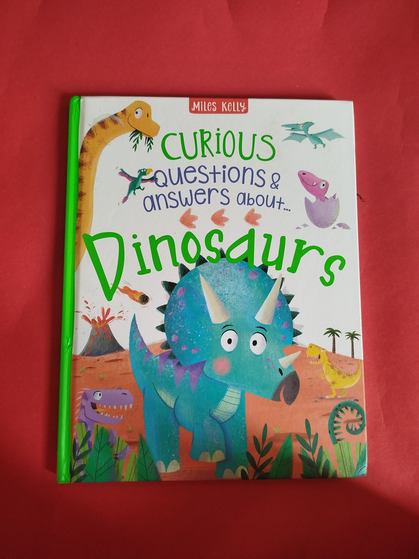 Curious Questions and Answers about Dinosaurs