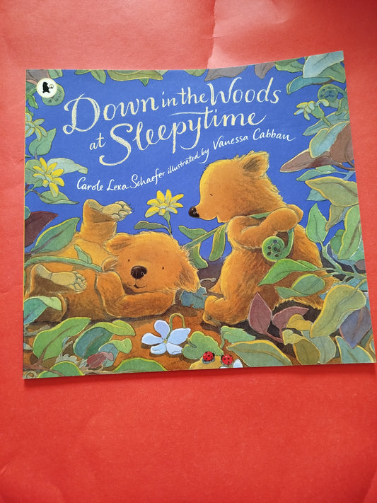 Down in the woods at Sleepytime