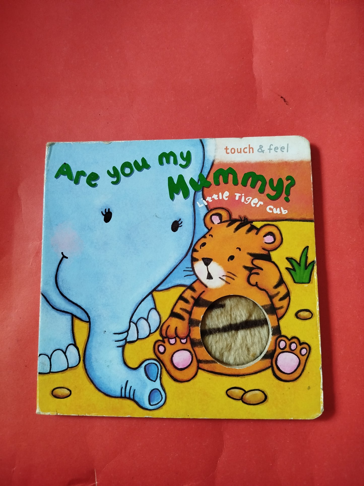 Are you my mummy