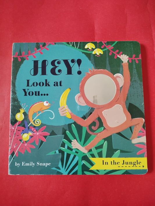Hey Look at You - Mirror Book