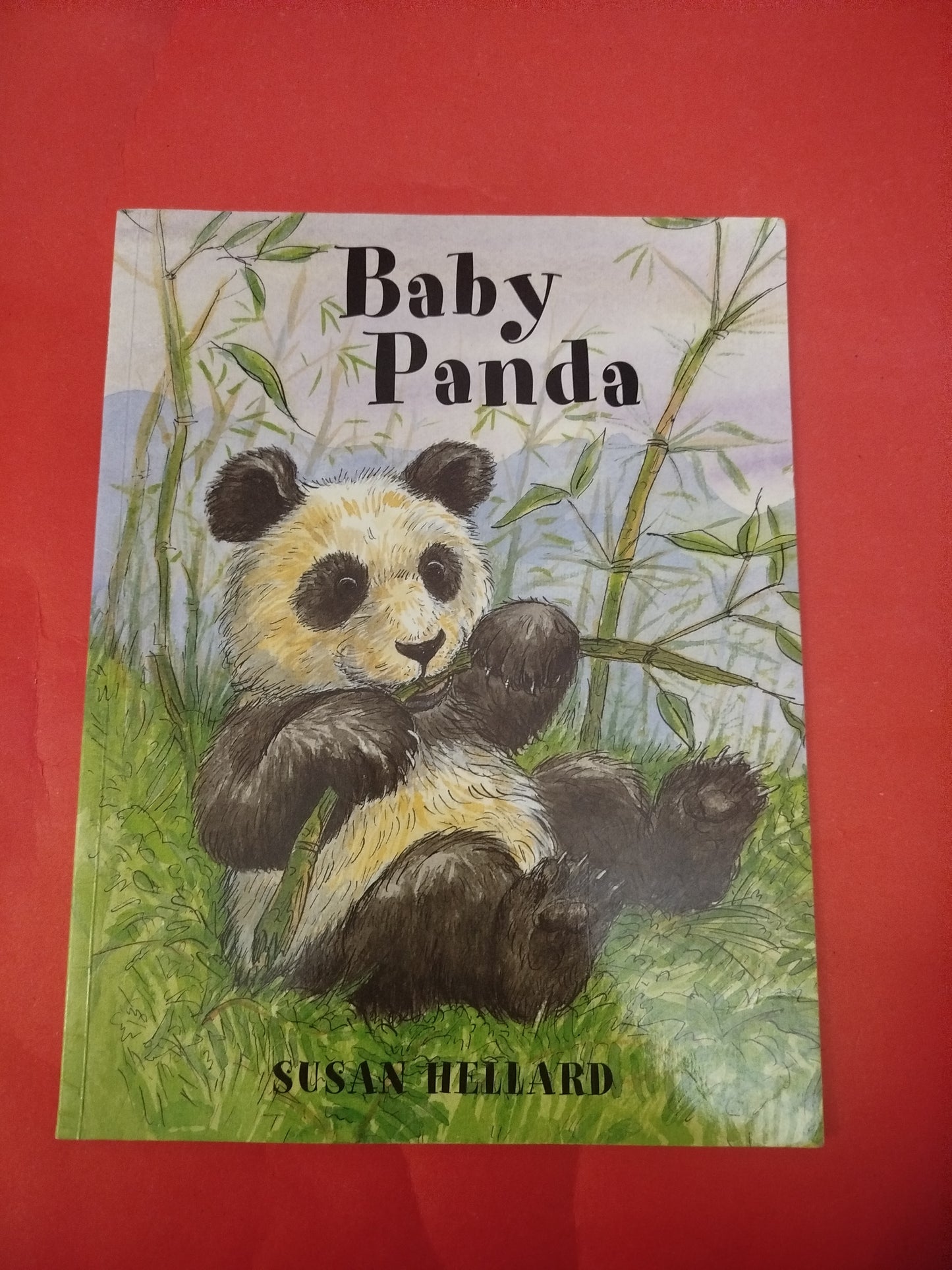 Baby Panda