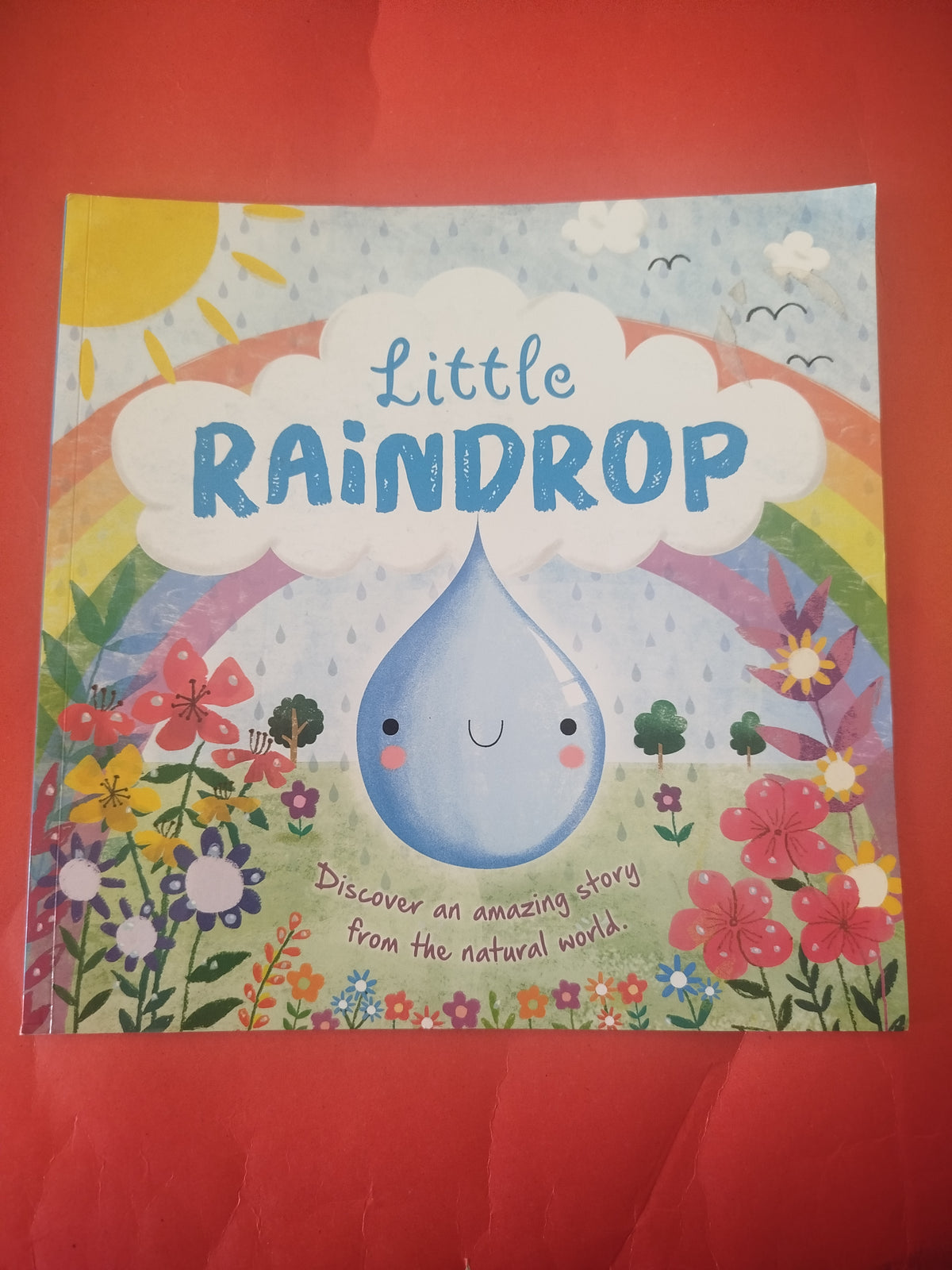 Little RAINDROP
