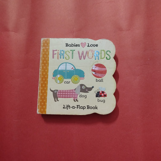 FIRST WORDS - Lift a flap book