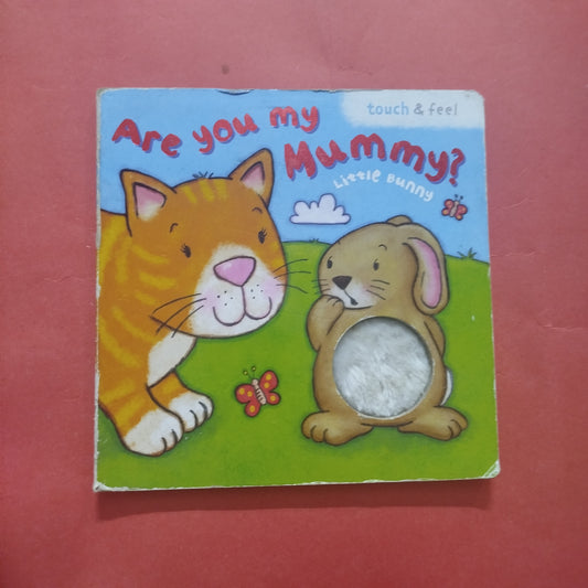 Are you my Mummy? Touch and feel book