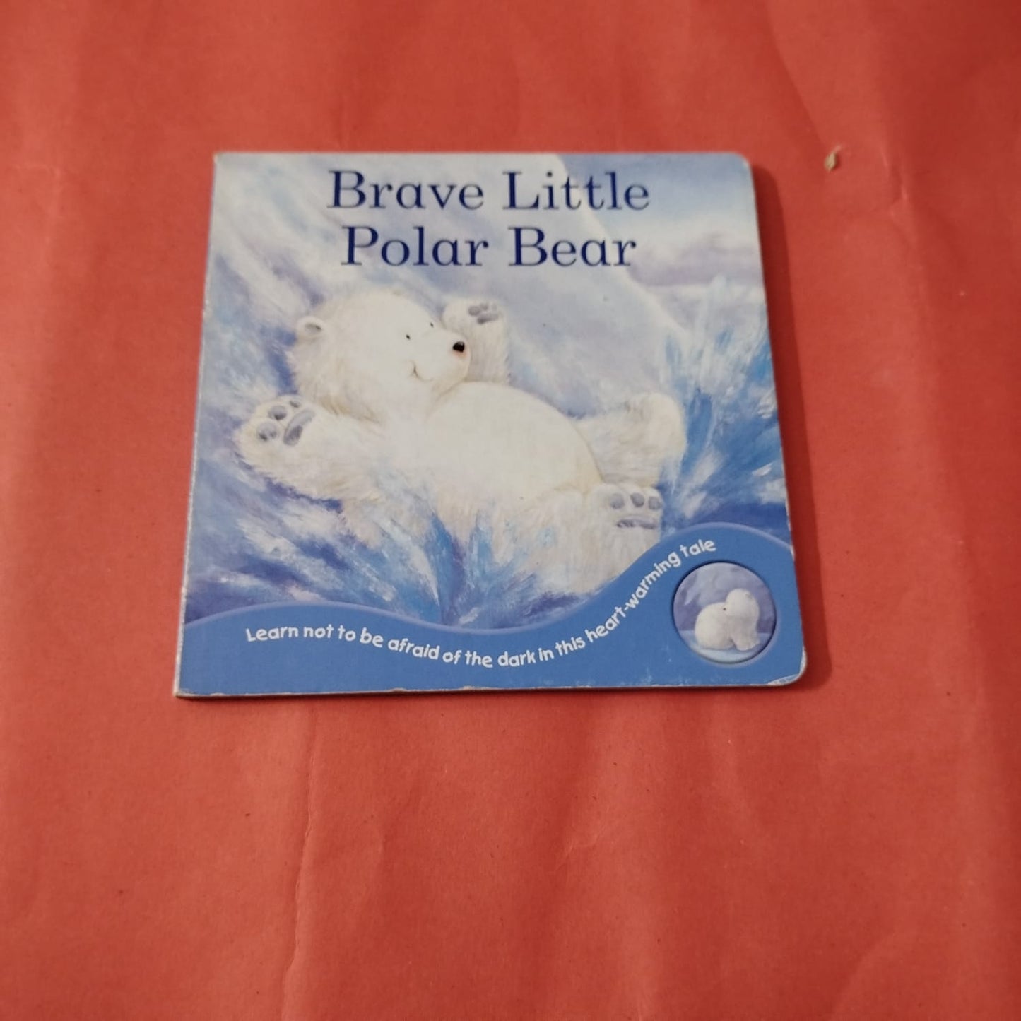 Brave Little Polar Bear