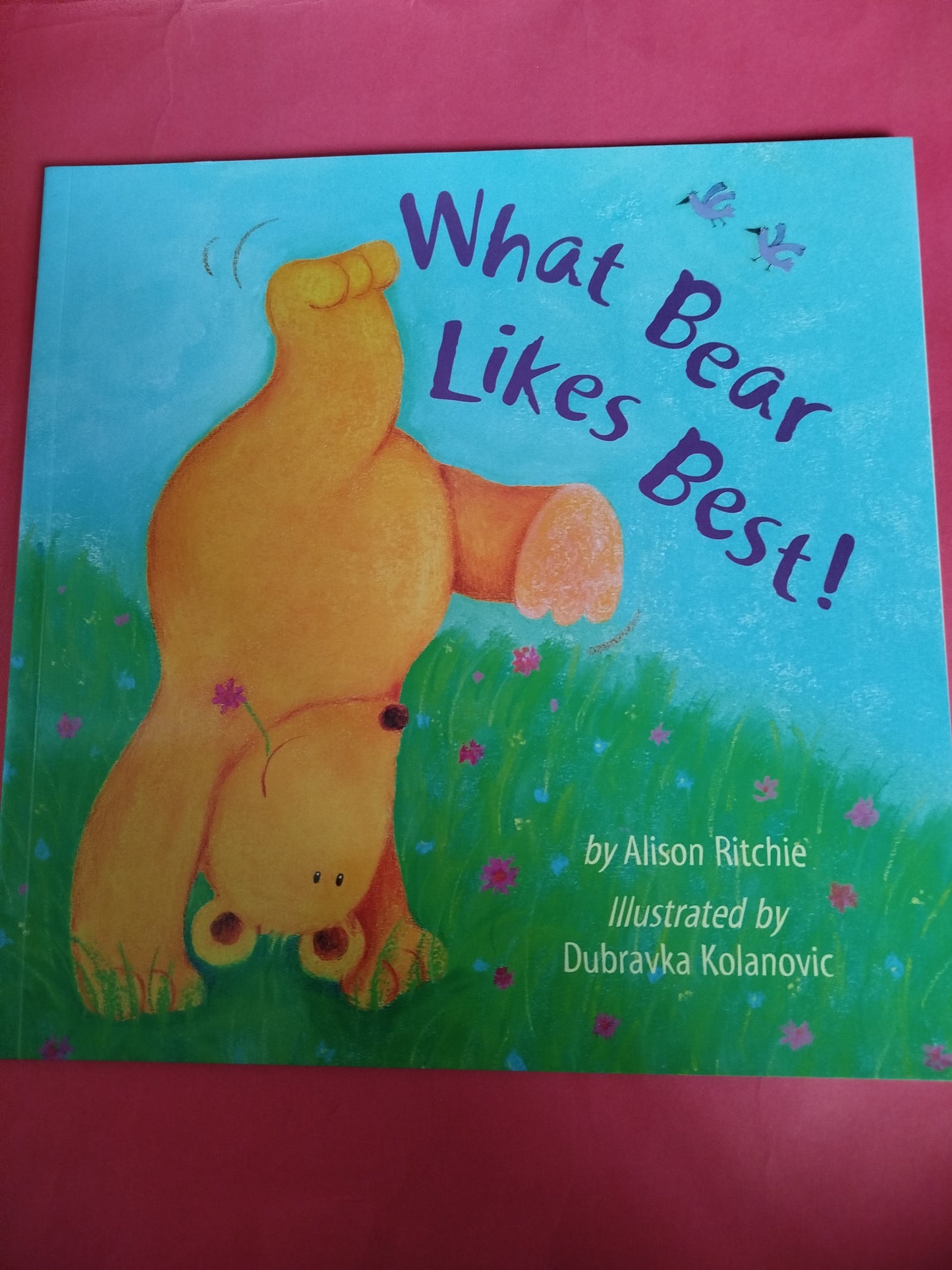 What Bear Likes Best
