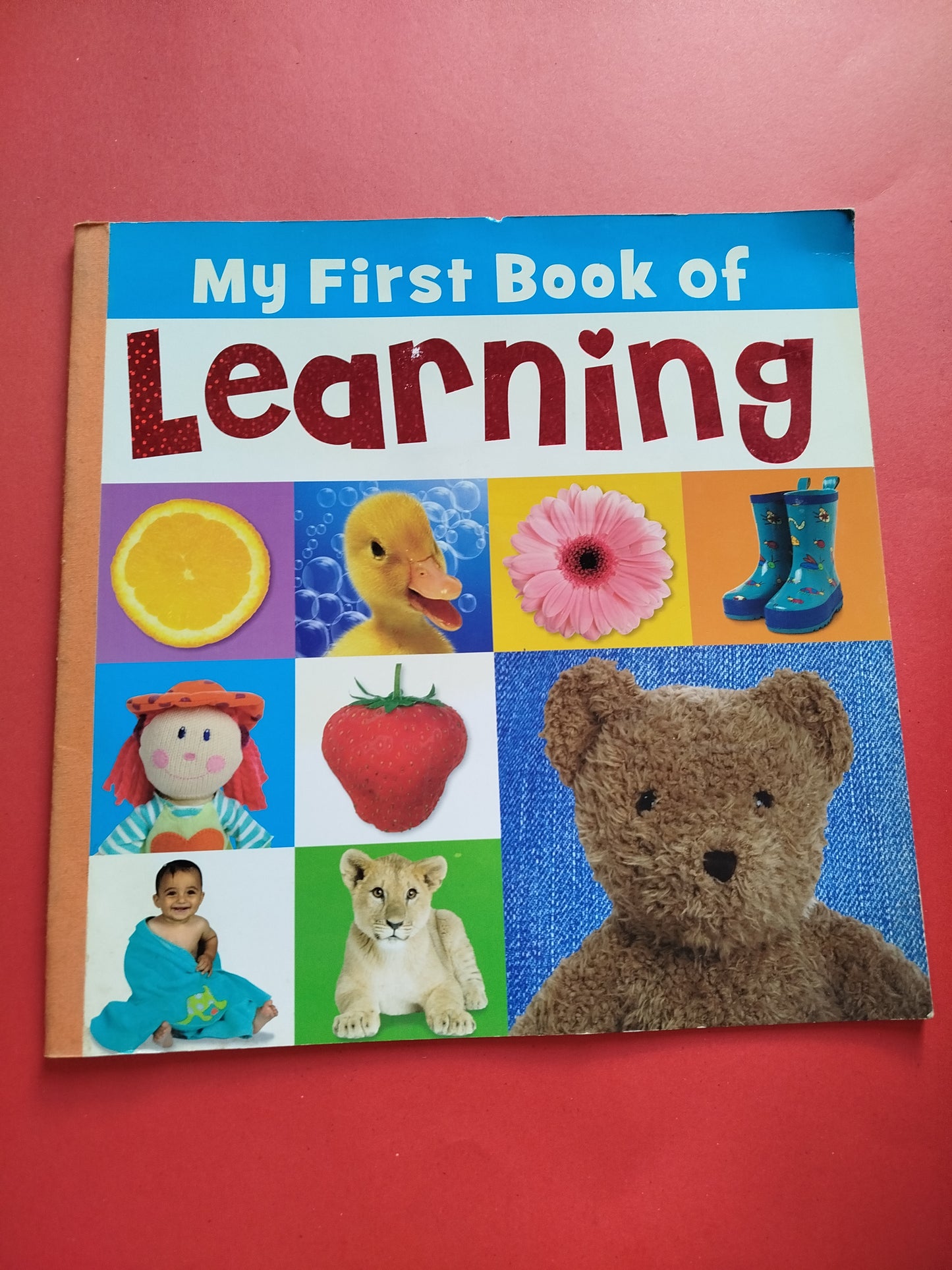 My First Book of Learning