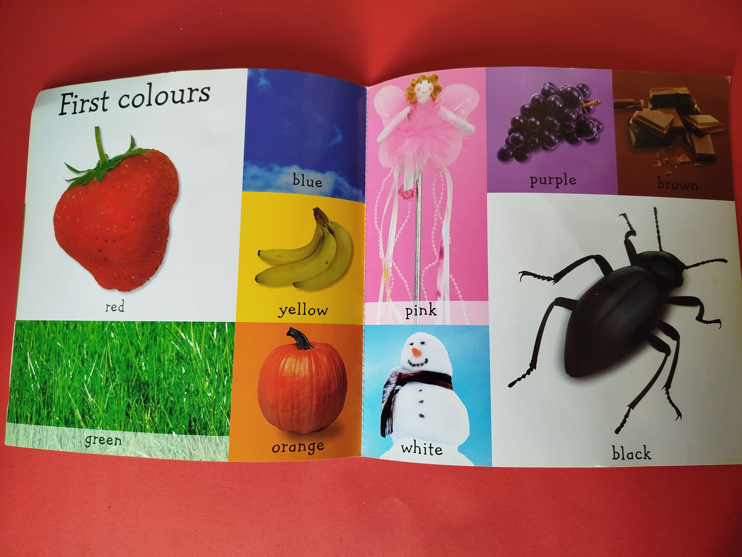 My First Book of Learning
